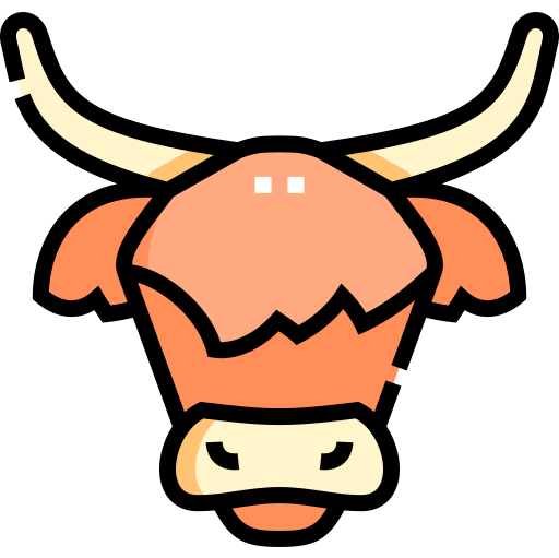 © 2024 Highland cow Fun 